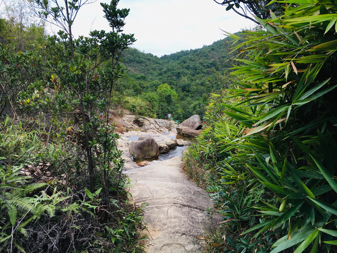 Hong Kong - Hiking Braemar Hill